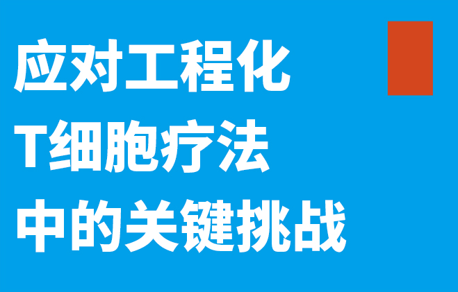 应对工程化T细胞疗法中的关键挑战