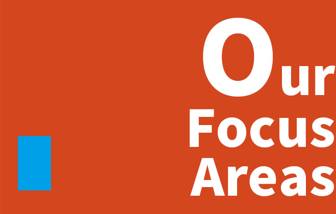 Our Focus Areas