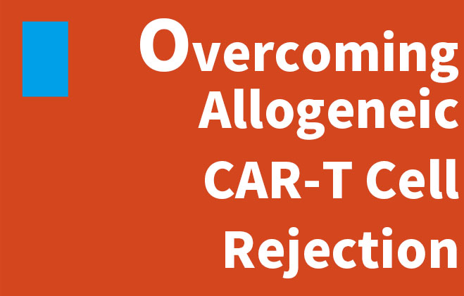 Overcoming Allogeneic CAR-T Cell Rejection